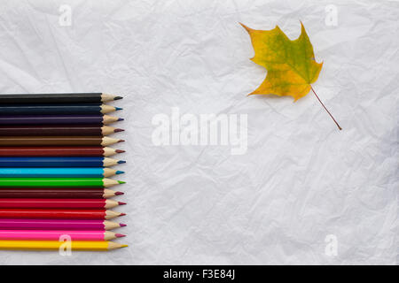Colored pencils in a row on crumpled white sheet of paper and one yellow maple leaf Stock Photo
