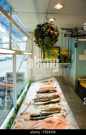 Typical English wet fish, fish monger shop. Window display of various fish with price tags, on crushed ice, features complete fish as well as fillets. Stock Photo