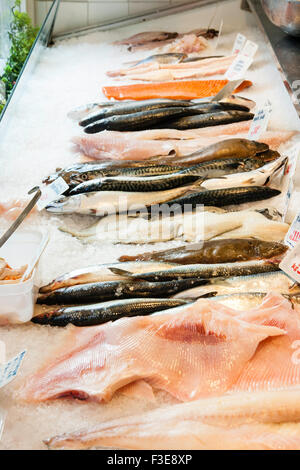 Typical English wet fish, fish monger shop. Window display of various fish with price tags, on crushed ice, features complete fish as well as fillets. Stock Photo