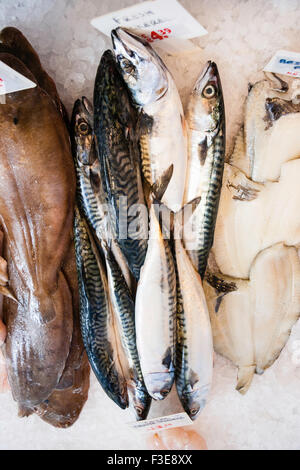 England, Ramsgate. Fishmonger, wet-fish shop. Row of priced various types of sea fish on crushed ice with several mackerel of various size in centre. Stock Photo
