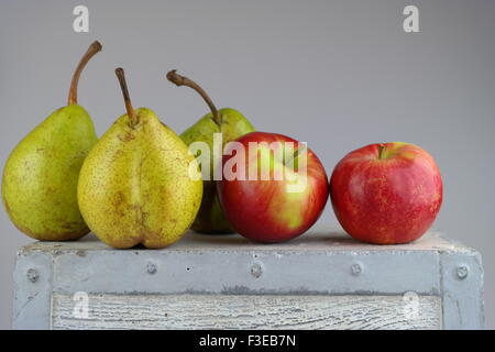 Autumn fruits Stock Photo