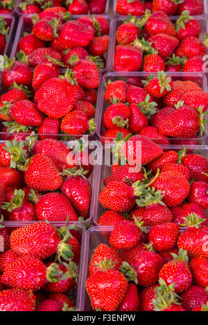 Organic produce at a farmers market Stock Photo - Alamy