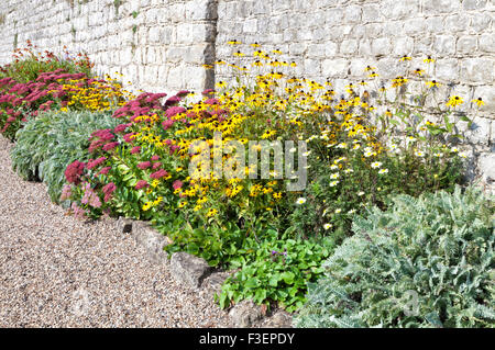 Autumn colourful flowers in a cottage garden, growing against grey stone wall by gravel walking path Stock Photo