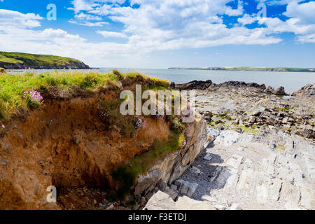 The view across Milford Haven towards St Ann's Head from West Angle Bay in the Pembrokeshire Coast National Park, Wales, UK Stock Photo