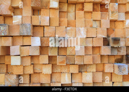 Pile of wood logs ready for winter Stock Photo