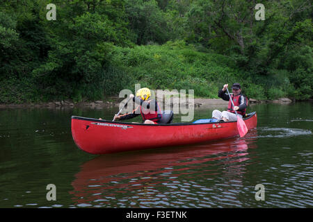 Father with 8 year old son paddling kayak canoe on River Wye near Symonds Yat, Herefordshire, England, UK Stock Photo