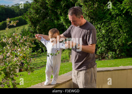 Father helping 16 month old baby girl to walk Stock Photo