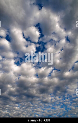 Large fluffy clouds (Altocumulus), Bavaria, Germany Stock Photo