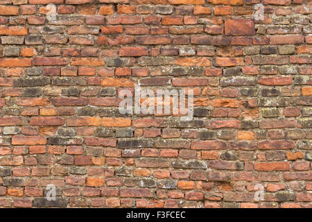 Brick wall Stock Photo