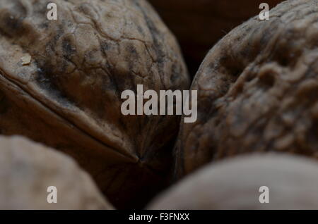 Walnuts Stock Photo
