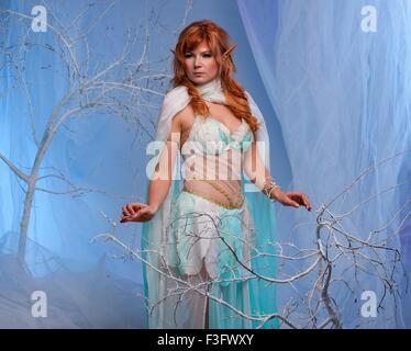 Elf in magical winter forest. Stock Photo