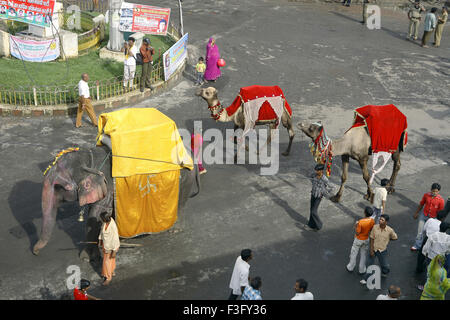 Janmashtami festival lord Krishna birthday celebration carnival elephant and camels painted and decorated Jabalpur Stock Photo
