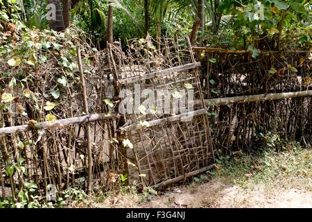 Wooden picket fence gate, Village Bhogwe ; Konkan ; District Sindhudurga ; Maharashtra ; India , Asia Stock Photo