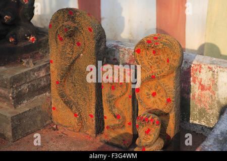 Snake gods in Shore Temple complex ; Mahabalipuram ; District Chengalpattu ; Tamil Nadu ; India UNESCO World Heritage Site Stock Photo