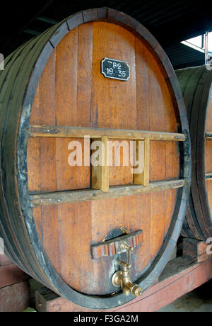 Noilly Prat Vermouth ; Noilly Pratt ;  France ; French ; Europe ; European Stock Photo