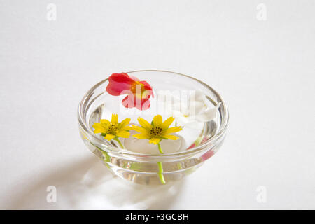 Red white and yellow flowers in glass bowls with rose water ; India Stock Photo