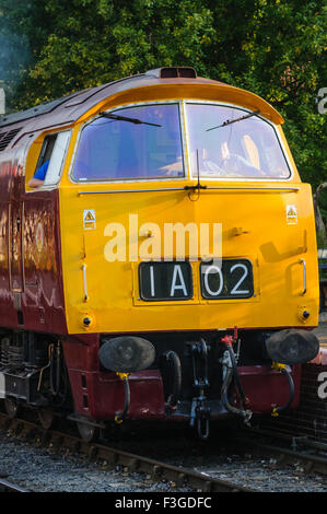 Class 52 western diesel loco D1015 arriving at Arley station on the Severn Valley Railway Stock Photo