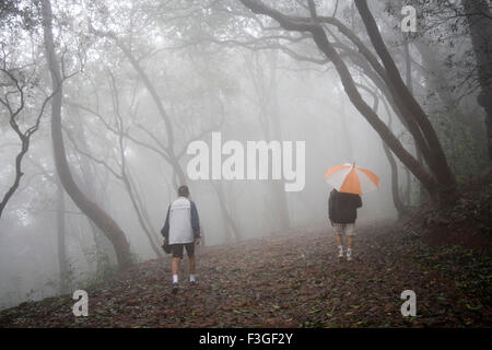 People taking walk early morning ; View of forest in Monsoon Season on Hill station ; Matheran ; Maharashtra ; India Stock Photo