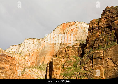 Refinements taking place continuously in the red sandstone in unique look at Zion Canyon national park ; U.S.A. Stock Photo