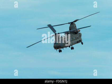 RAF Boeing Chinook HC4 heavy lift helicopter flying at Clacton airshow,UK,2015 Stock Photo