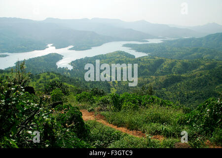 Misty landscape with back water of Koyna river forming shape of horse ; Tapola ; Maharashtra ; India Stock Photo