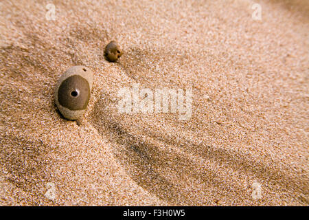 Creative curve and form sea sand and rock pattern texture fine art photography ; Aksa beach ; Malad Mumbai Stock Photo