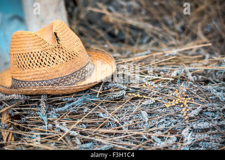old straw hat on a pile of dried lavender Stock Photo