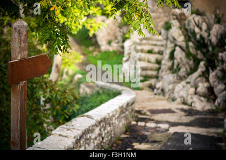 wooden sign indicating a direction in the background with a path Stock Photo