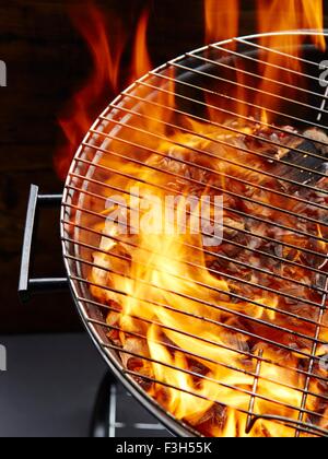 Fire, burning charcoal in barbecue grill Stock Photo
