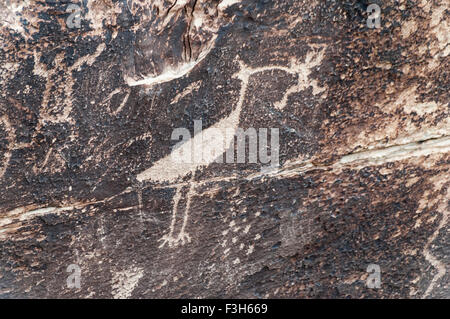 A Petroglyph near Puerco Pueblo in the Painted Desert area of the Petrified Forest National Park , North Eastern Arizona. Stock Photo