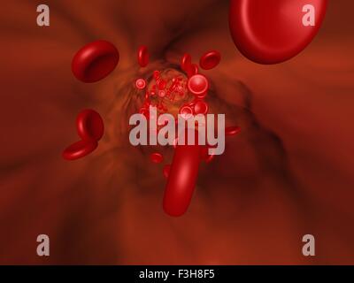 3D illustration showing the red blood cell flow in a vessel