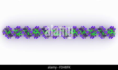 DNA strand Stock Photo