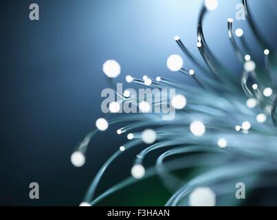 Bundles of illuminated optical fibres used to carry high volumes of data Stock Photo