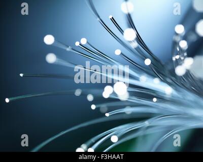 Bundles of illuminated optical fibres used to carry high volumes of data Stock Photo