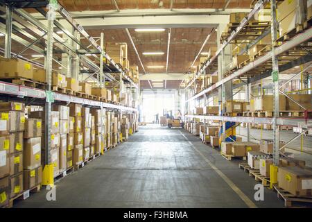 Forklift trucks and drivers working in distribution warehouse aisle Stock Photo