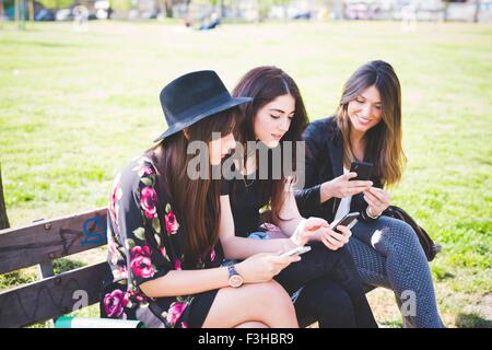 Three young female friends reading their smartphones on park bench Stock Photo