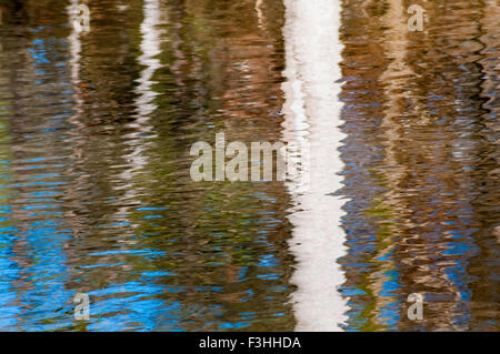 Winter tree reflections in creek Stock Photo