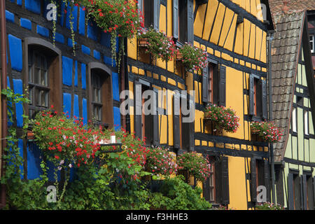Colourful half timbered buildings Rue General de Gaulle Riquewihr Alsace France Stock Photo