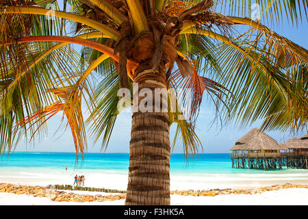 Tanzania, Zanzibar Archipelago, Unguja island (Zanzibar), Nungwi Stock Photo