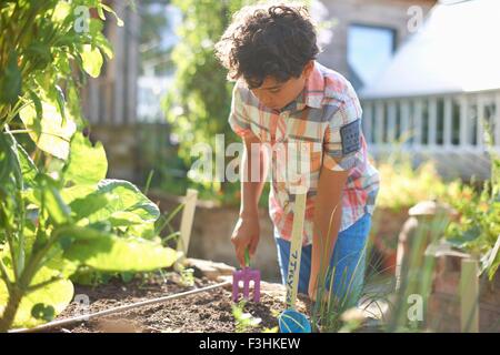 Boy digging raised plant bed in garden Stock Photo