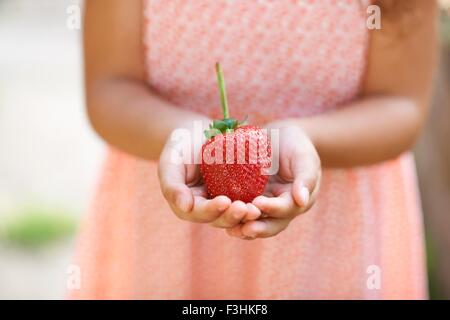 Cropped shot of girl holding a fresh strawberry in garden Stock Photo