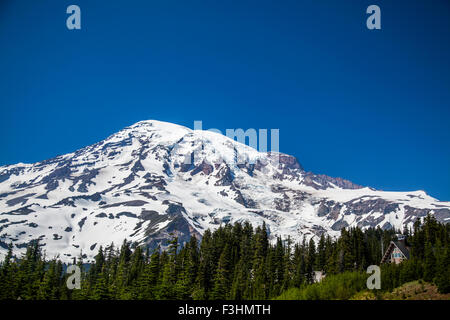 A view of Mount Rainier National Park, Washington, USA on a sunny day. Stock Photo