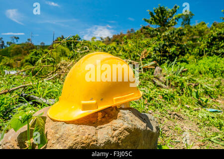 Yellow hard hat with a coffee plantation farm in the background Stock Photo