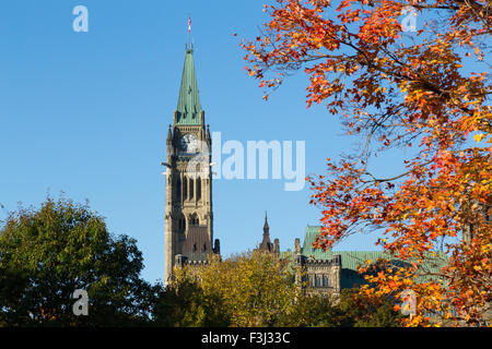 Part of the Ottawa Parliament buildings with a Canadian Maple Tree in the fall Stock Photo