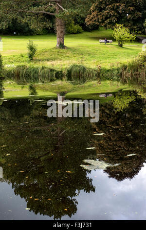 Woman sitting on a bench under a tree in Dartmoor, England, Great Britain, United Kingdom, Europe Stock Photo