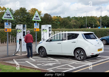 Man charging an electric car automobile at Ecotricity station along the M1 motorway Stock Photo