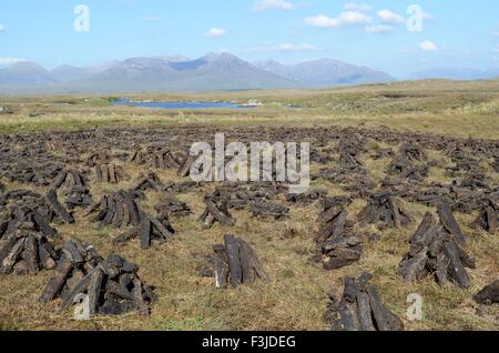 peat stacks drying near the Old Bog Road Roundstone Connemara County Galway Ireland Stock Photo