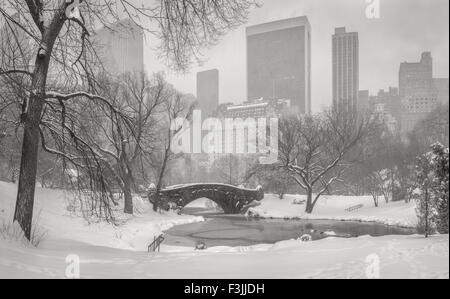 Frozen Pond and heavy snowfall in Central Park. Gapstow Bridge and Manhattan high-rises and skyscrapers. Wintertime in New York Stock Photo