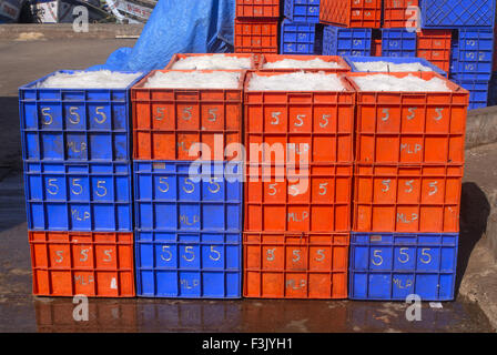 colorful boxes plastic crates background. Packing containers piles for fish  storage of catch Stock Photo - Alamy