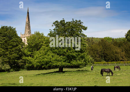 UK, England, Yorkshire East Riding, Wintringham, St Peter’s church across fields Stock Photo